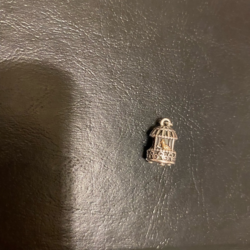 Authentic Retired Pandora Bird Cage Charm